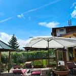 ホテル Aktiv-hotel Traube Am Mieminger Sonnenplateau 3*