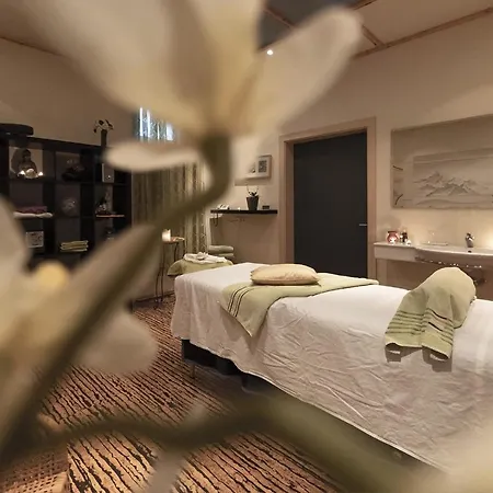Aktiv-hotel Traube Am Mieminger Sonnenplateau Ξενοδοχείο 3*