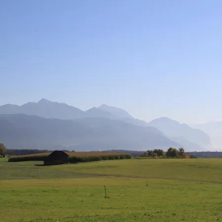 Aktiv-hotel Traube Hotel Wildermieming