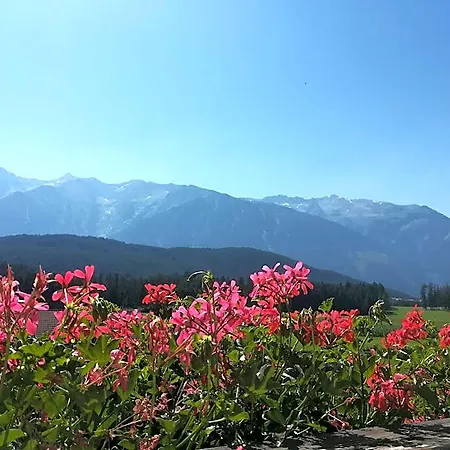 Aktiv-hotel Traube Am Mieminger Sonnenplateau Hotel