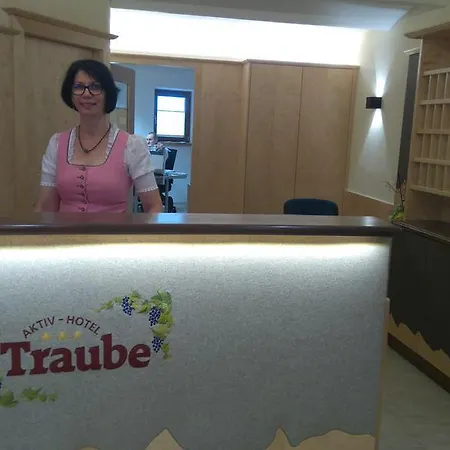 Hotel Aktiv-hotel Traube Am Mieminger Sonnenplateau Wildermieming