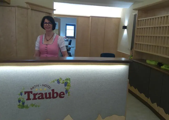 酒店 Aktiv-hotel Traube Am Mieminger Sonnenplateau Wildermieming