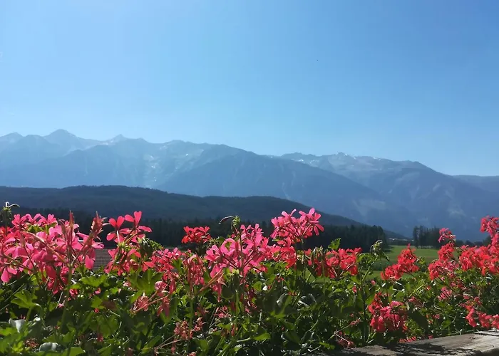 Aktiv-hotel Traube Am Mieminger Sonnenplateau 3*