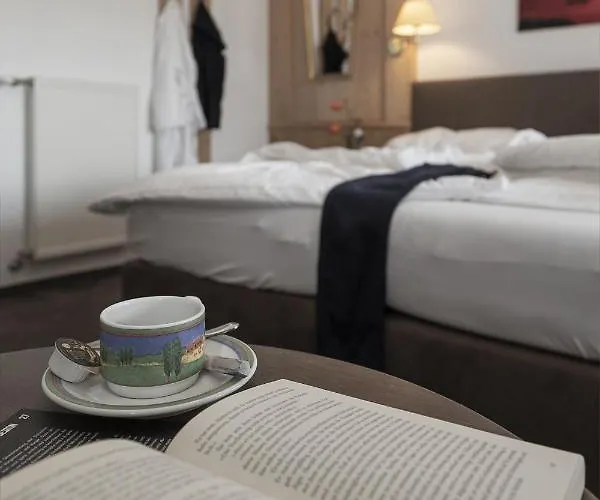 Отель Aktiv-hotel Traube Am Mieminger Sonnenplateau