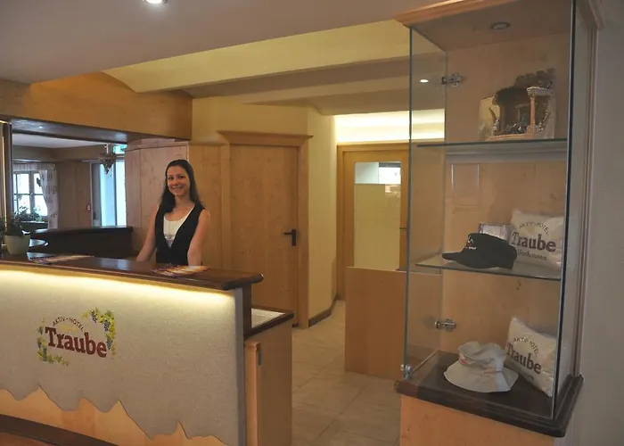 Отель Aktiv-hotel Traube Am Mieminger Sonnenplateau Wildermieming