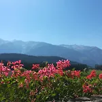 Aktiv-hotel Traube Am Mieminger Sonnenplateau 3*